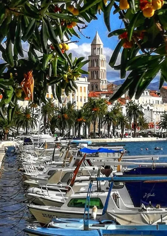 Apartment Vlatka Split