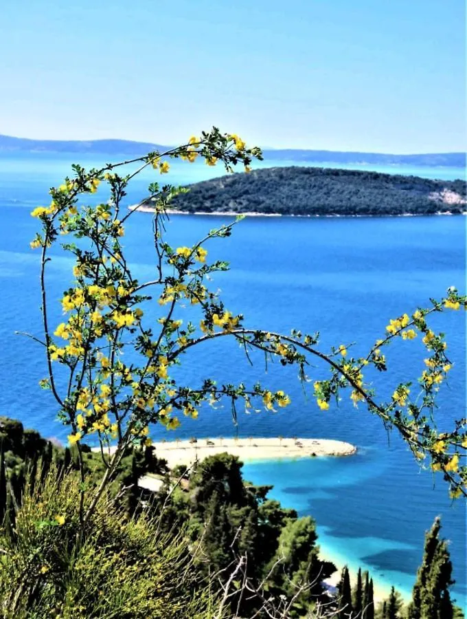 Apartment Vlatka Split